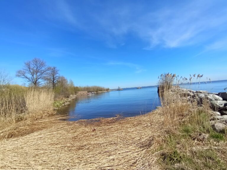 Главная whatsapp image 2026 08 04 at 17.59.57 (1)